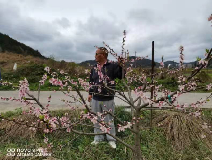《中国爱情诗刊》 【中国爱 情诗人档案】(第4594期)湖南诗人:蚂蠕蚆的诗(图2)