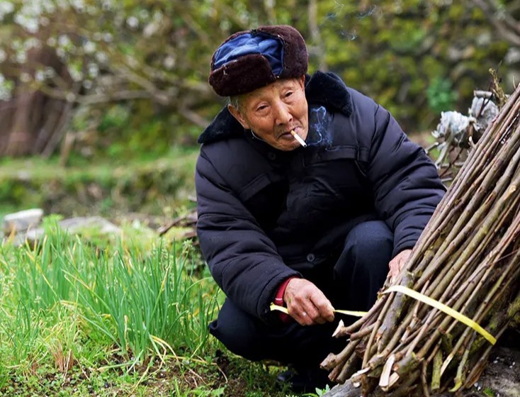 栾武江老师散文《你的深情,我怎能不懂》主播:牧歌 编辑:小鱼儿 【北疆头条】(第233期)(图7)