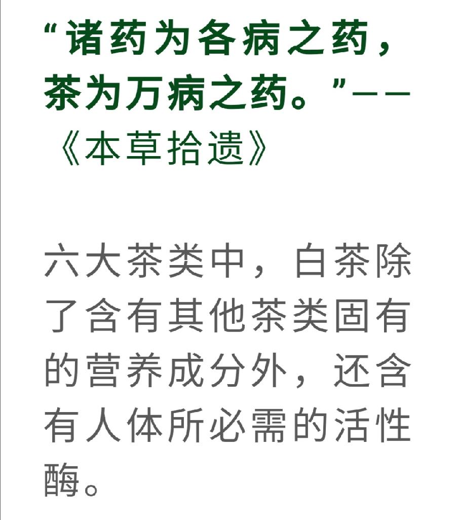 白茶，竟然是糖尿病的克星！普洱茶界