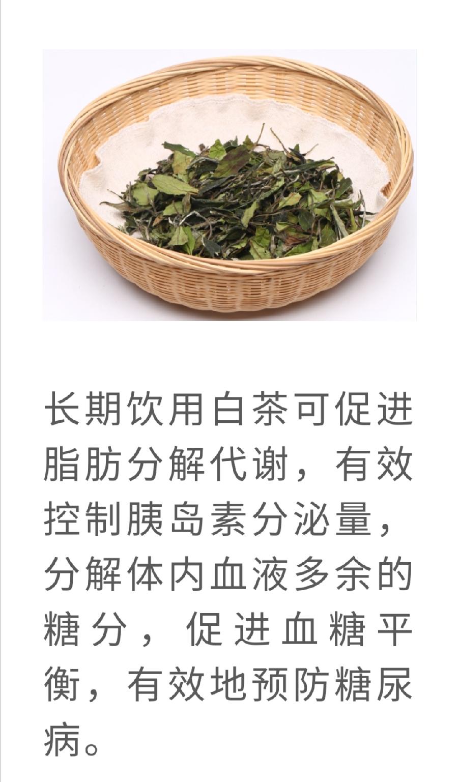 白茶，竟然是糖尿病的克星！普洱茶界（图2）