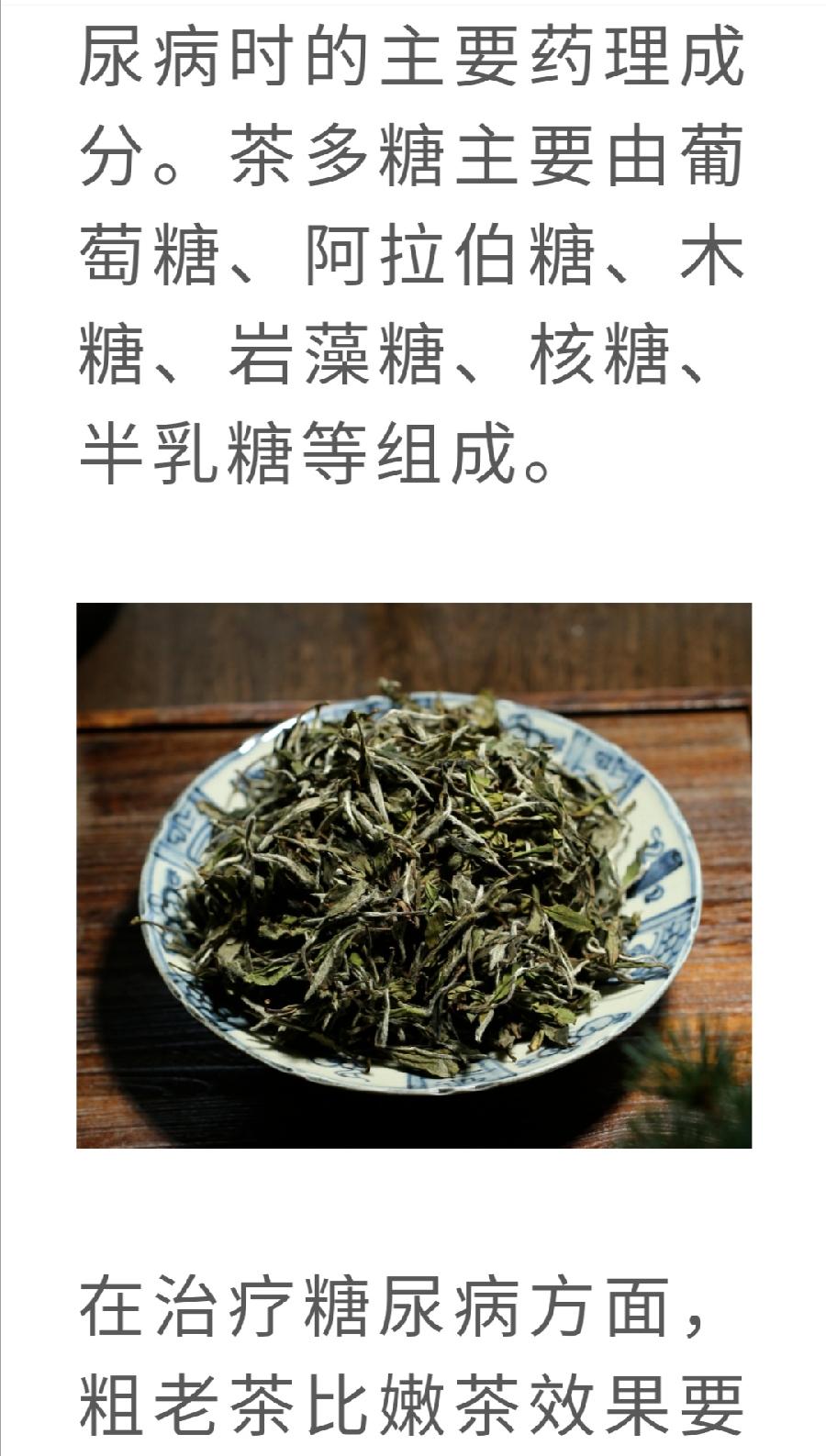 白茶，竟然是糖尿病的克星！普洱茶界（图4）