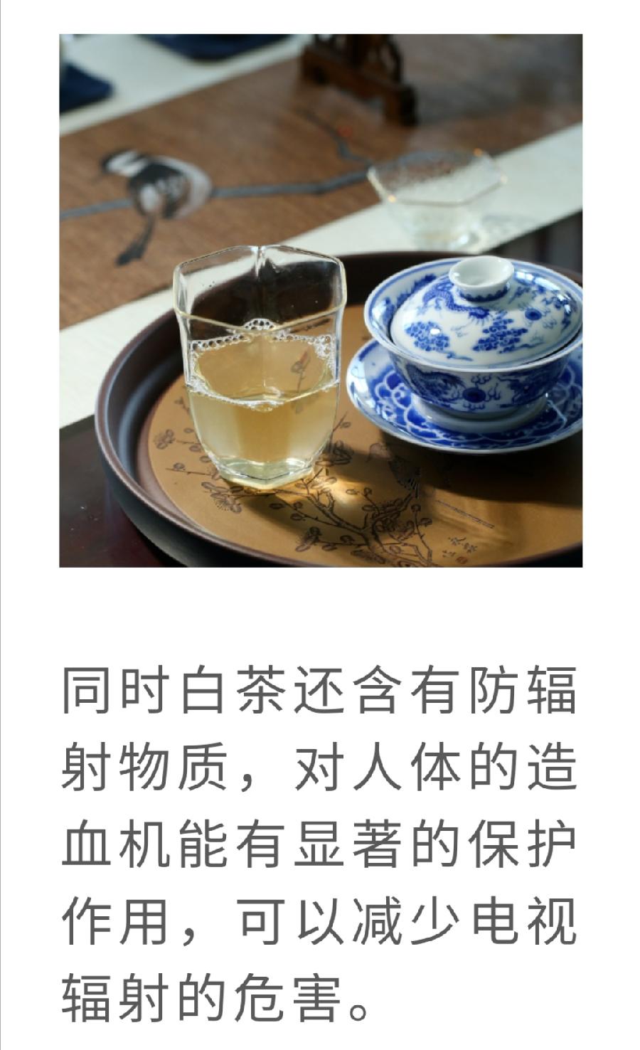 白茶，竟然是糖尿病的克星！普洱茶界（图8）