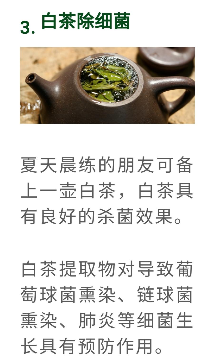 白茶，竟然是糖尿病的克星！普洱茶界（图9）