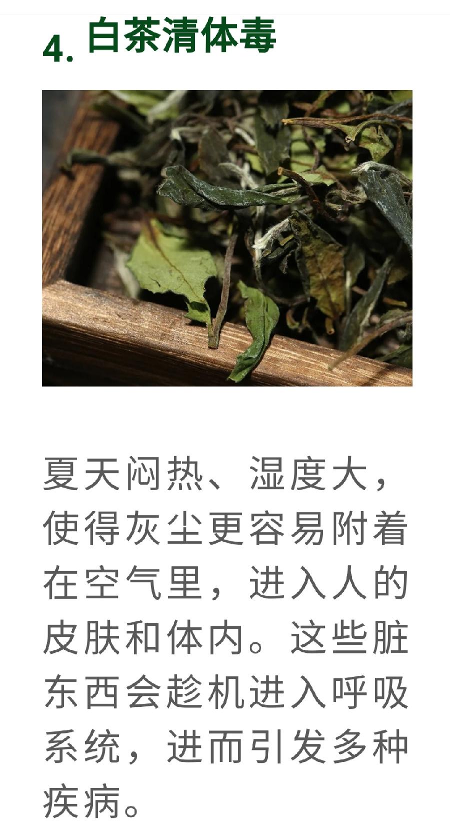 白茶，竟然是糖尿病的克星！普洱茶界（图10）