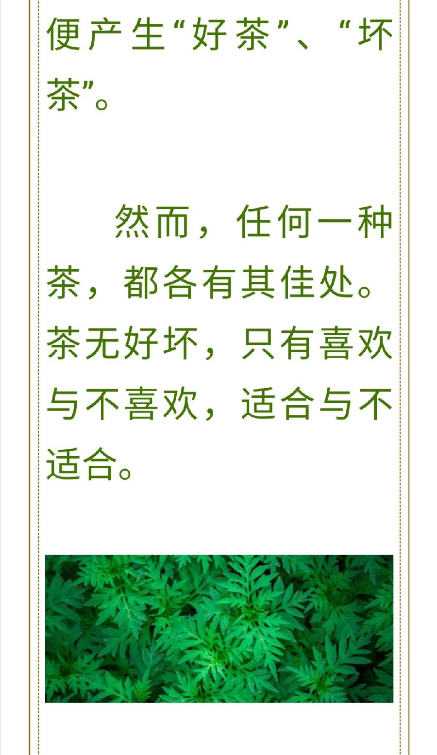 遇一杯好茶，共一人白首，择一城终老普洱茶界（图3）
