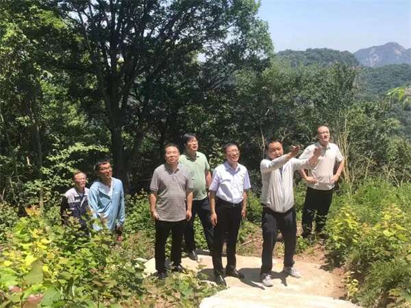 陕旅集团李献峰一行深入骏景索道公司项目一线实地调研(图6)