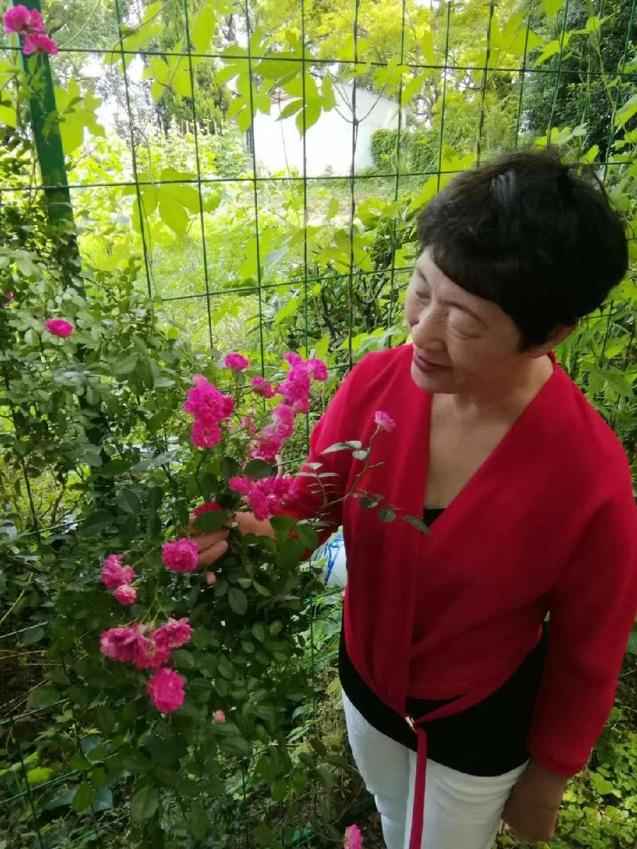 艳青:(1)战友五十载相聚游江南（图34）