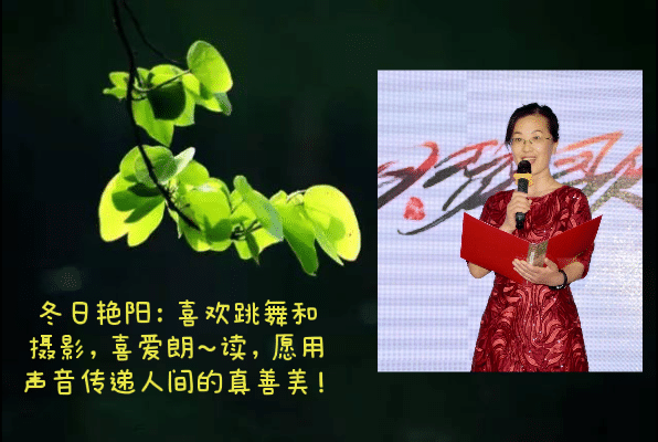 请欣赏四位主播倾情演绎朱海明老师佳作《 戏说文艺现象》编辑:宋梅【中国长江文学社】有声文学平台第4(图11)