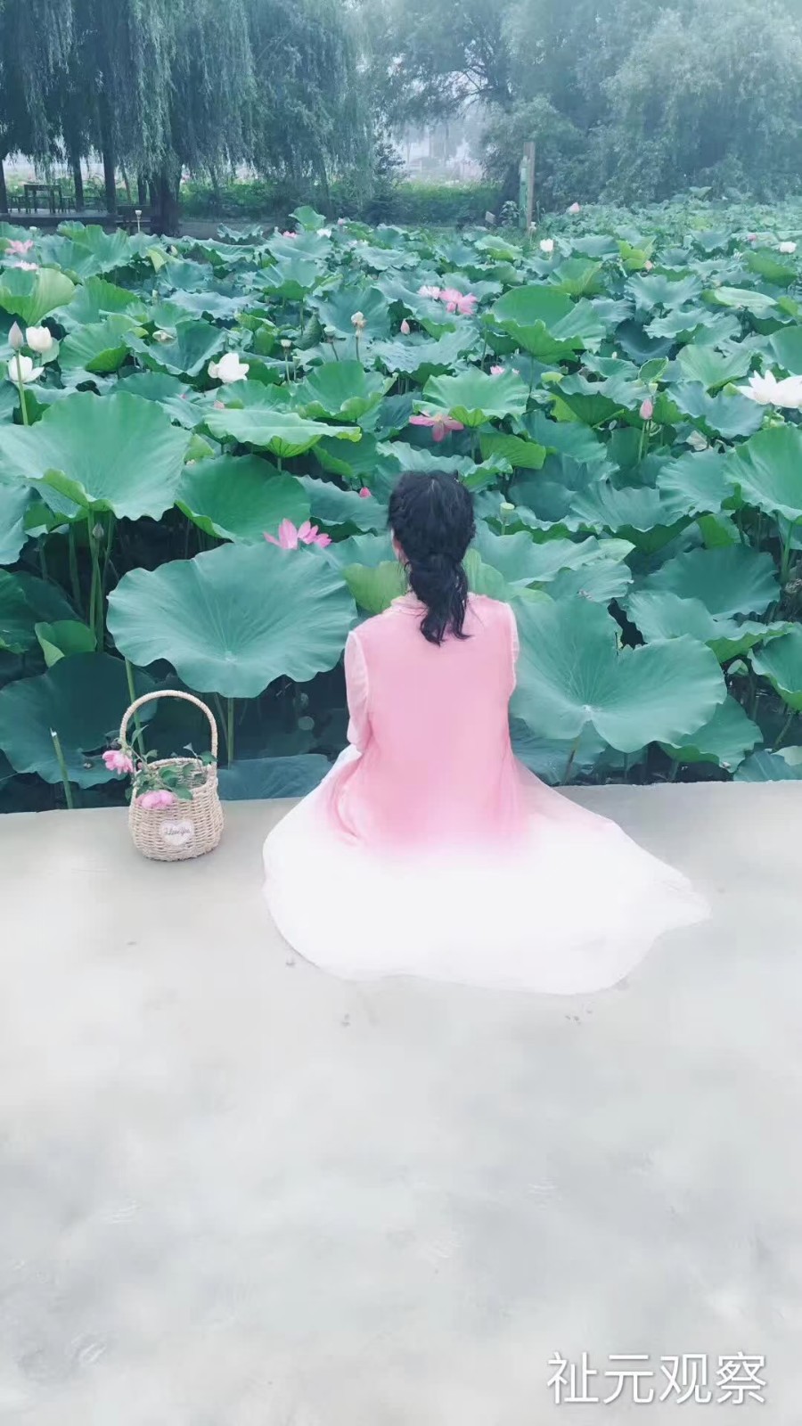 *过 客* （外二首） 作词 / 宏翔 （湖南）【冰心文化传媒】（图5）