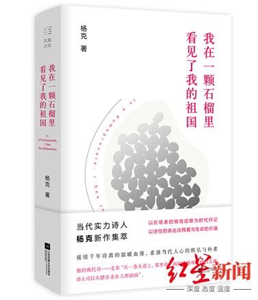 孙佳梅~我在一颗石榴里 看见我的祖国 作者/杨克（图3）