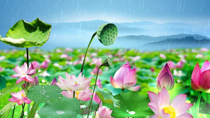 推荐【神州源流诗苑】第666期[优秀近体诗]周刊（图12）