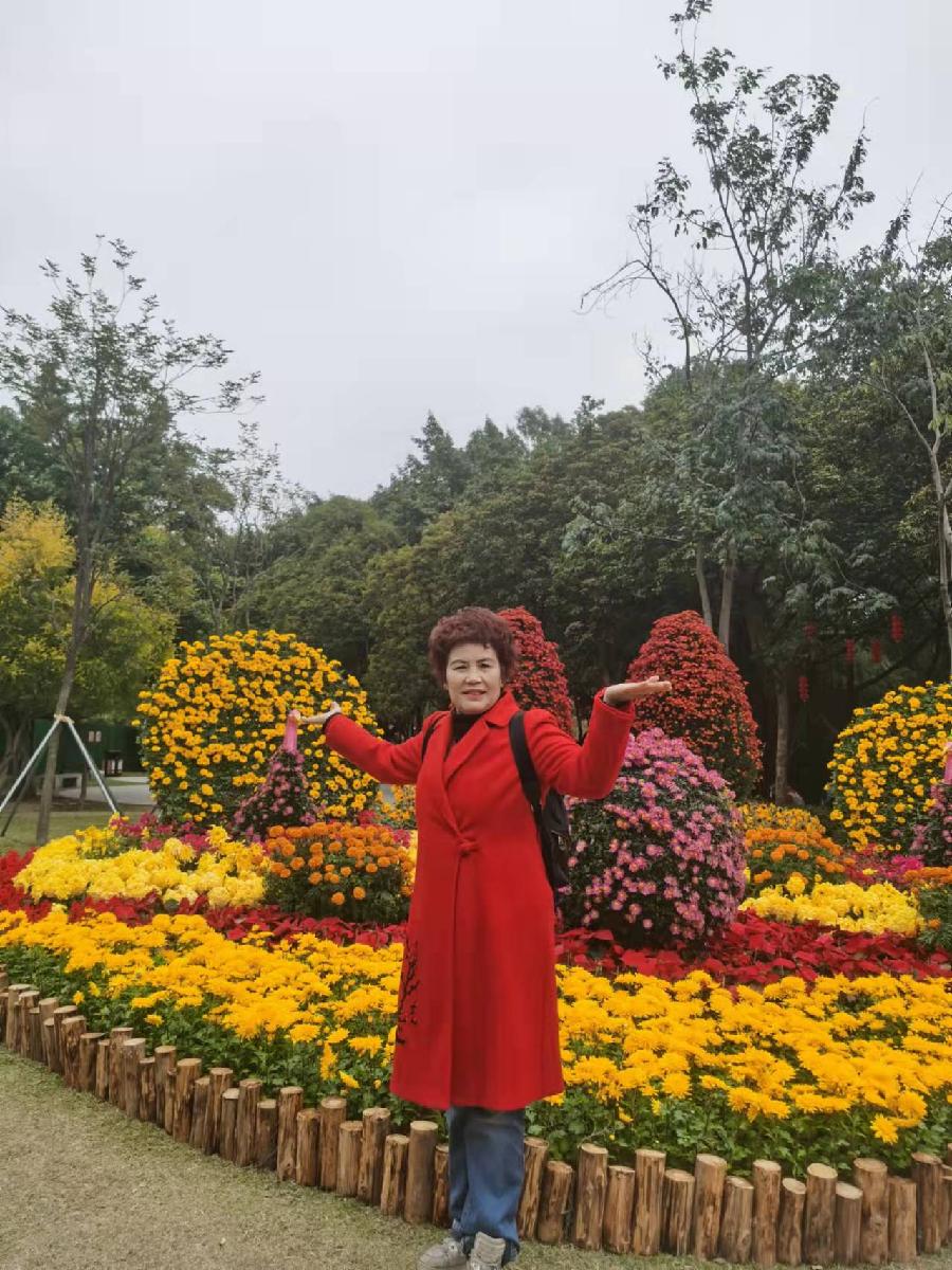 《愿祖国繁荣昌盛》诗组 作者/中国最美作家,头条红榜诗人曾(图9)