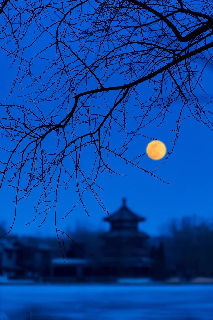 《撕夜》短评 作者：于达荣 编辑：宋梅【文学社】有 声文学平台第3878期（图3）