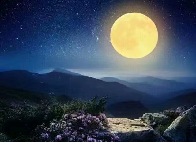 《排律·鲜花明月惹人痴》作者/庆福 主播/山谷幽兰 编辑/胡琴（图3）