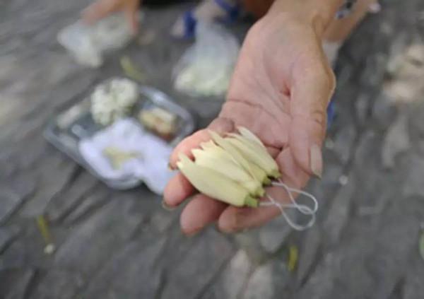 【小丽花电台】刘林丽诗歌作品179期《父亲手中的白兰花》主播小丽花（图2）