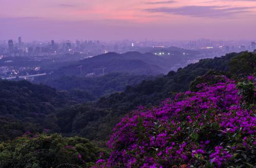 七绝四首 夏夜随笔（外二首）文／张昕（图7）