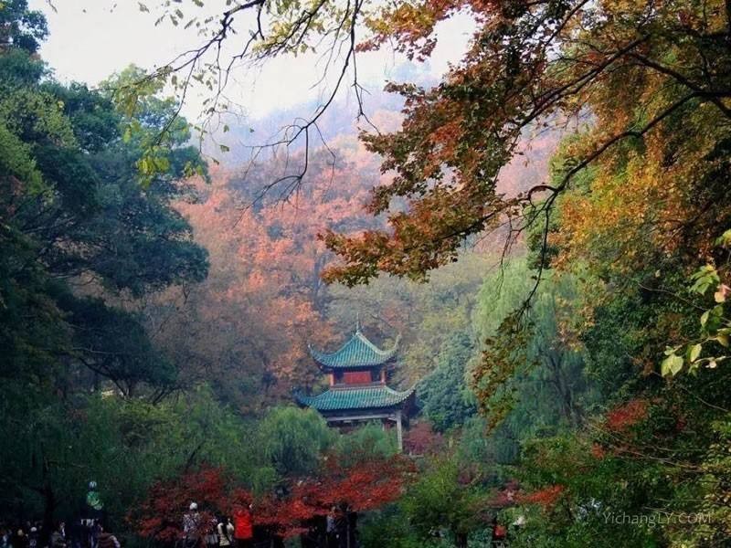 【潇湘文学社】潇湘听松诗社《371期》(嵌“山”字韵入律绝、填词“巫山一段云”)(图12)