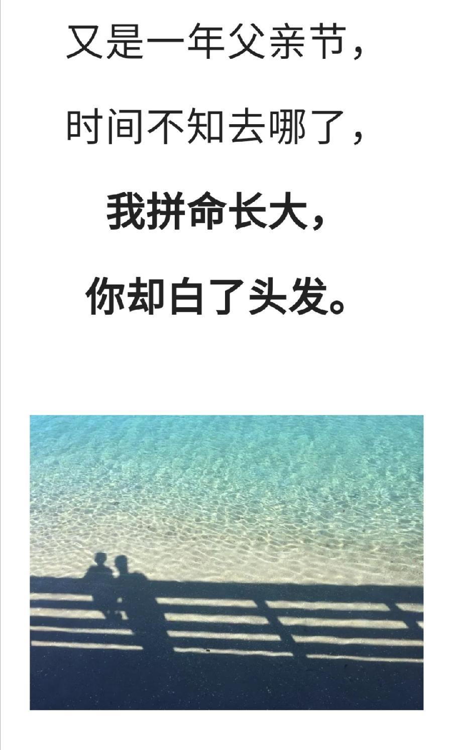 今天，请敬父亲一杯茶！普洱茶界