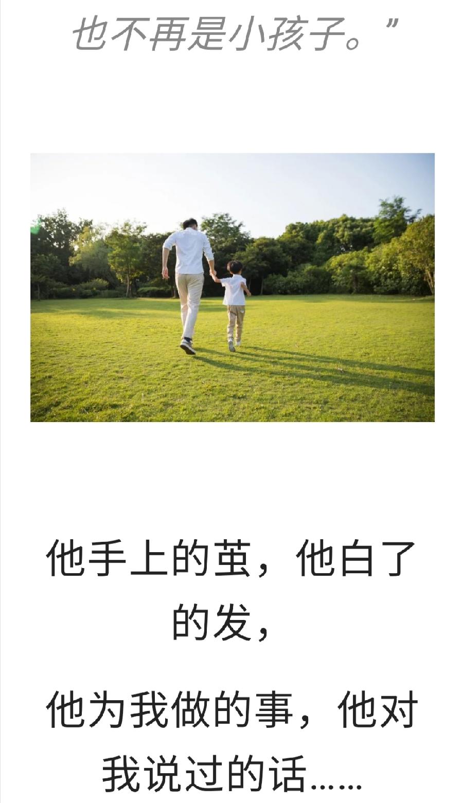 今天，请敬父亲一杯茶！普洱茶界（图5）