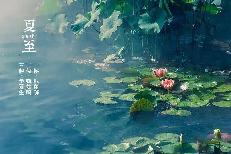 史英杰《菩萨蛮•夏至》（外一首）诵/玉华（图4）