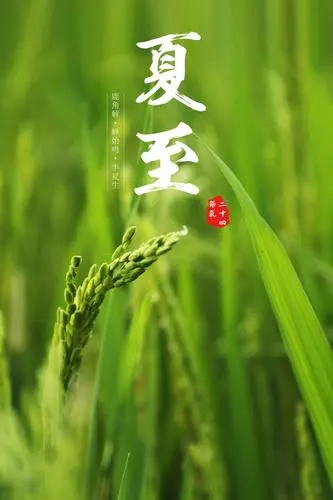 史英杰《菩萨蛮•夏至》（外一首）诵/玉华（图2）