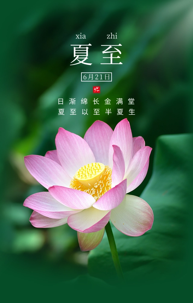 史英杰《菩萨蛮•夏至》（外一首）诵/玉华（图3）