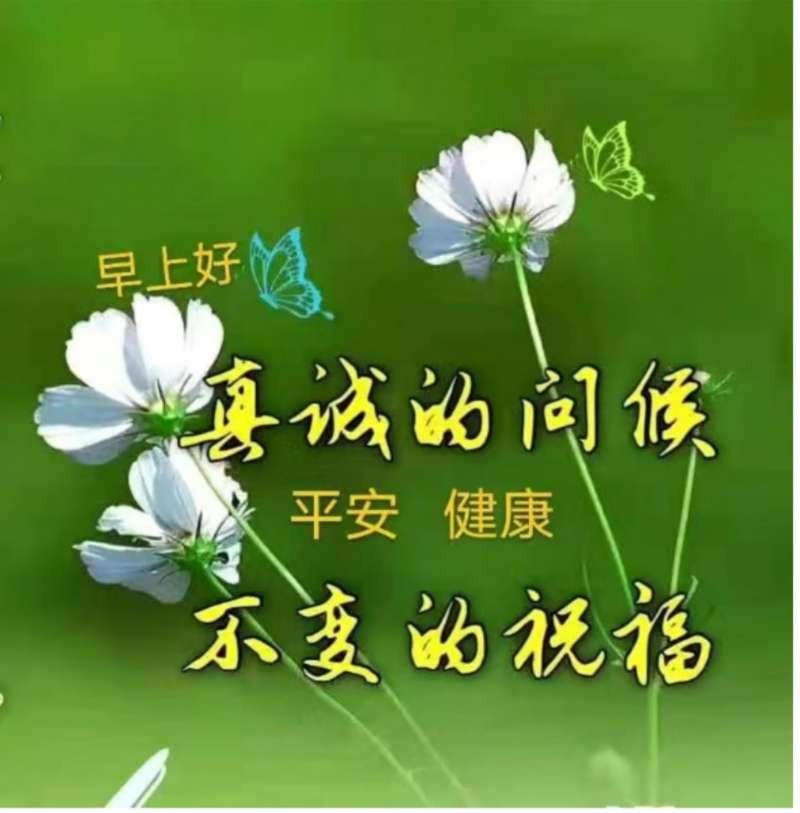 【有声诗刊专辑】‖ 《等爱的夜晚》作者：莲心| 主播：莫语【第102期】审核：宏红