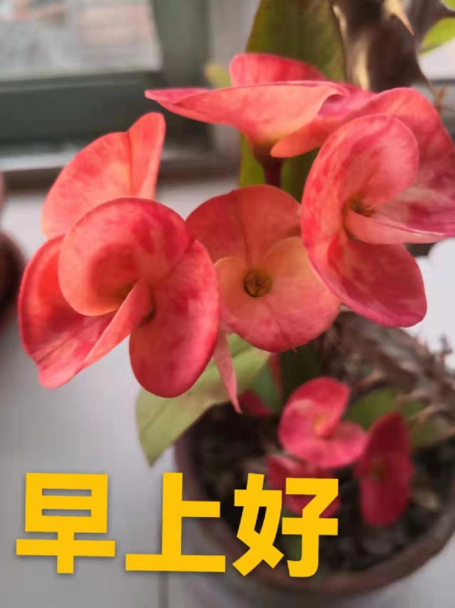【世界名家】【九江文学社：北京头条】著名艺术家沈志昂先生笺言精选（图5）