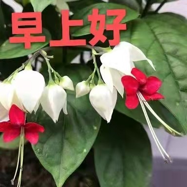 【世界名家】【九江文学社：北京头条】著名艺术家沈志昂先生笺言精选（图14）