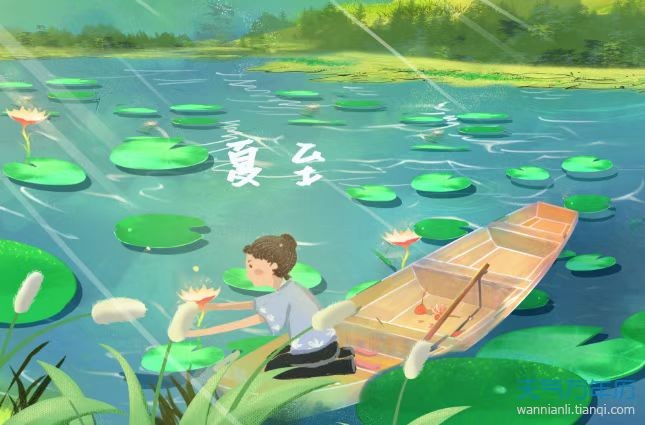 诗词•夏至四首 文/刘凤亭(图4)