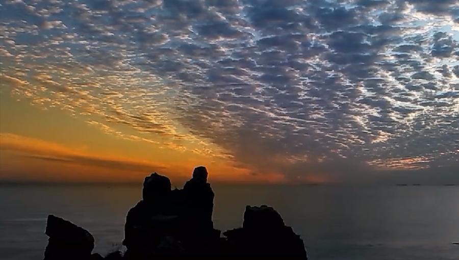 【苏河清音】雨杉/《海之恋—日落日出》诵读/贝文上海头条【第922期】(图2)
