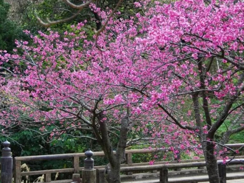 【名家专刊】【九江文学社：北京头条】推荐欣赏李向学先生佳作（图9）