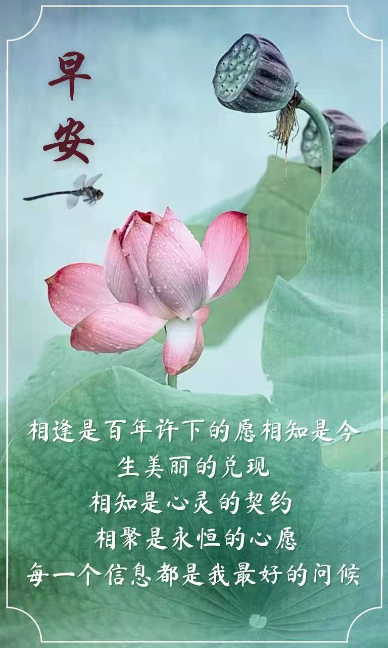 【有声诗刊专辑】‖ 《被忽略的爱》作者：延青| 主播：雨滴【第107期】审核：宏红