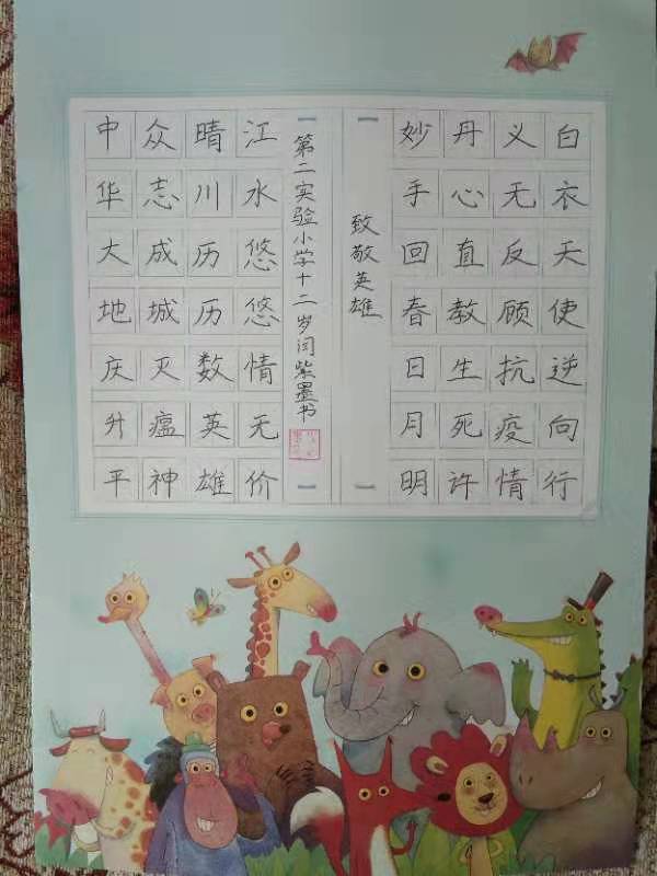 【都市头条向幸福出发编辑部】第367期 东光县文波书法教育学堂抗疫情硬笔书法展(图7)