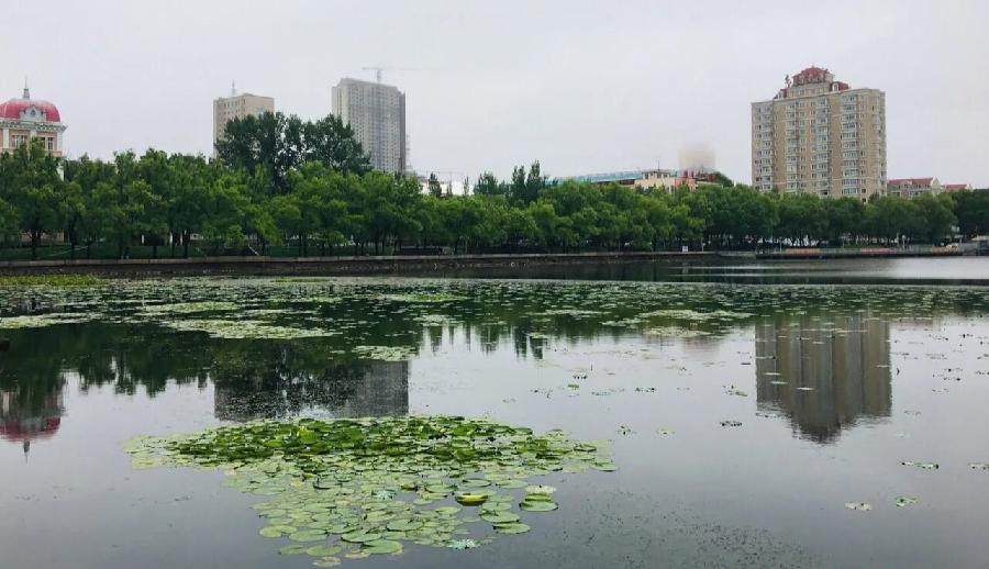 《溪流诗两首》主播：梅竹 编辑：小鱼儿 【北疆头条】（第234期）（图5）