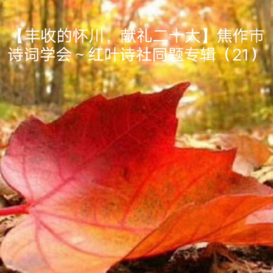 【丰收的怀川,献礼二十大】焦作市诗词学会红叶诗社同题专辑(21)