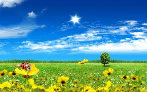 《花朝清韵》第三十七期《夏日》(图6)
