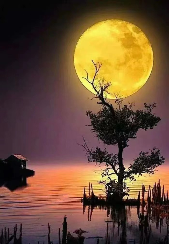 《这样的夜》 文/黑岩