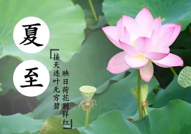 中华诗艺九江格律诗词精品鉴赏(合辑)第1450期(图25)