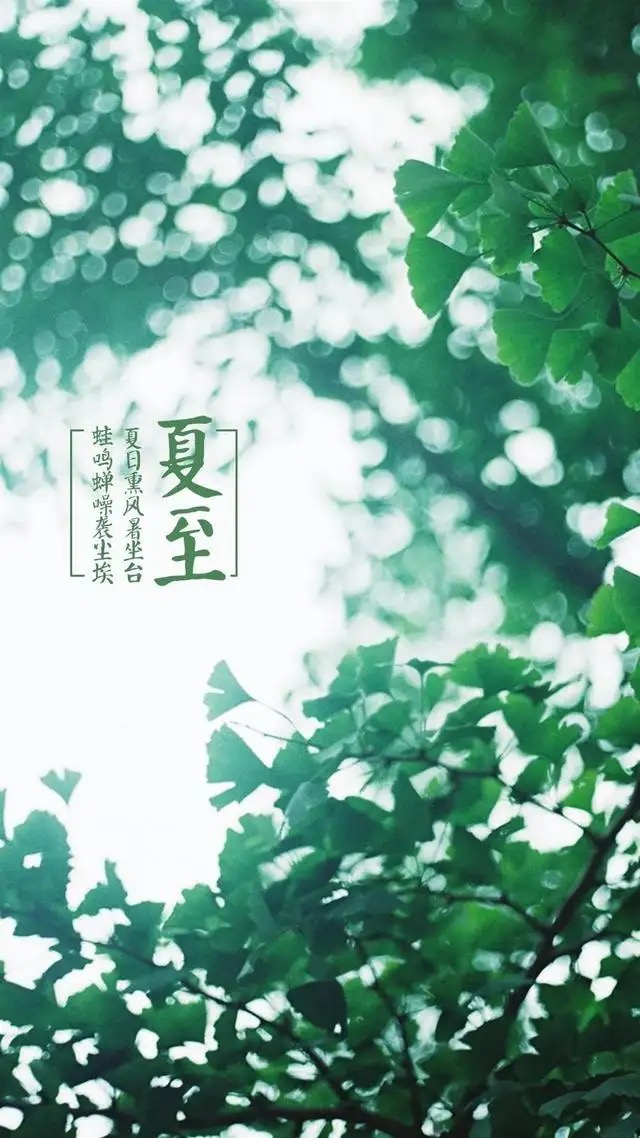 红梅诗歌文化传媒||《夏至》专刊(图2)