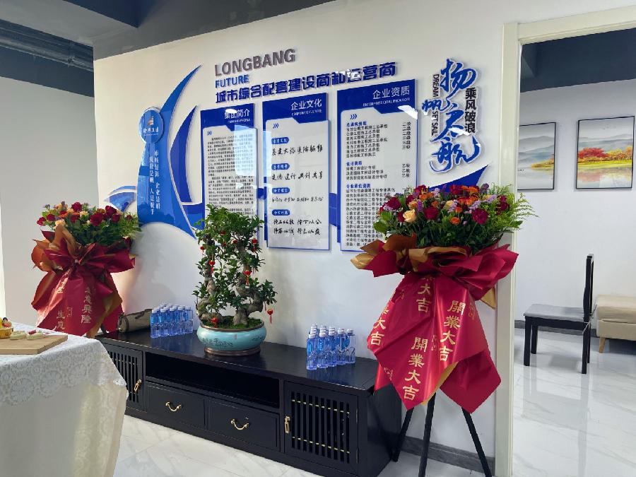 陕西隆邦集团新疆投资发展事业部开业大吉（图10）