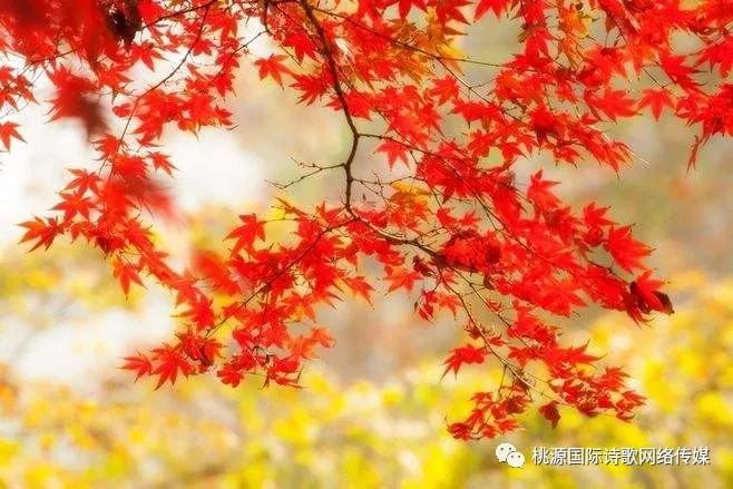 [桃源古韵]2022年古韵颂赞合集（三十八）作者:施性山[总1128期]（图8）