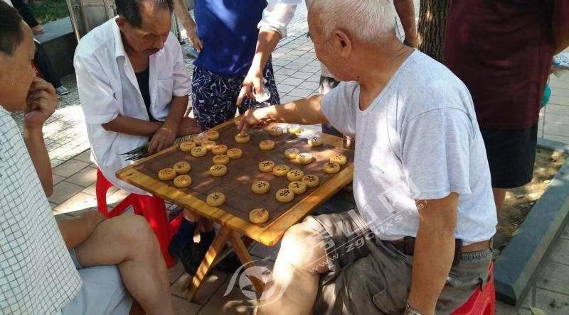 观棋不语真君子，唱和诗友动情嗨！（图3）
