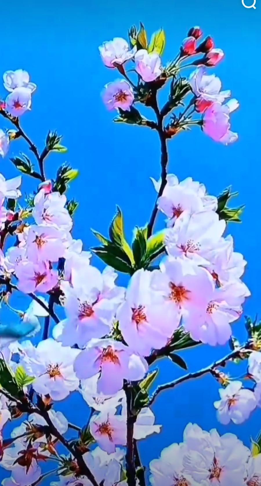 【华夏好诗词】推介方亮老师《夏至》外一首请欣赏（图20）