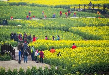【经典推荐】王世华大校//庄廓遗事｛散文｝（图7）