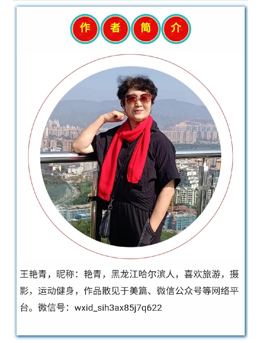 艳青:(3)情系西双版纳（图94）