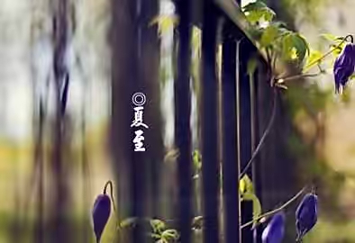 【新诗大观】夏至||文/李宁(图2)
