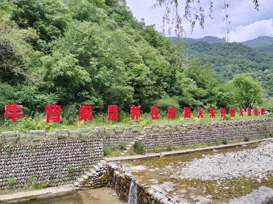 登牛背梁 作者‖孙民兴(图5)