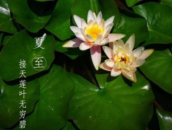 湖北文化名人乡音：《闲聊一夏》（图2）