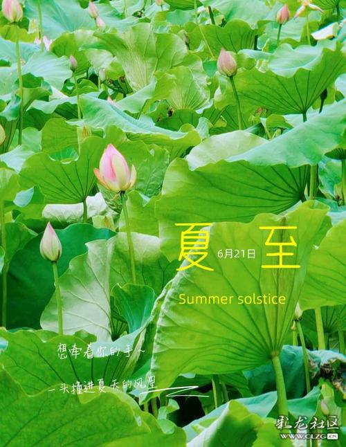 中华诗艺九江格律诗词精品鉴赏(合辑)第1450期(图35)